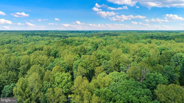 9109 Snowy Egret Ct, Spotsylvania, VA 22553 - photo 71