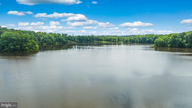 9109 Snowy Egret Ct, Spotsylvania, VA 22553 - photo 69