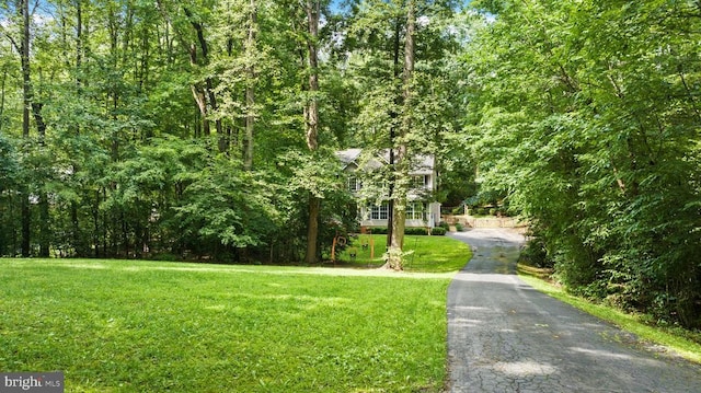 9109 Snowy Egret Ct, Spotsylvania, VA 22553 - photo 55