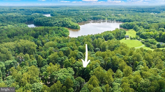 9109 Snowy Egret Ct, Spotsylvania, VA 22553 - photo 4
