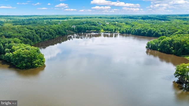 9109 Snowy Egret Ct, Spotsylvania, VA 22553 - photo 68