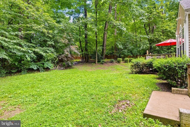 9109 Snowy Egret Ct, Spotsylvania, VA 22553 - photo 49