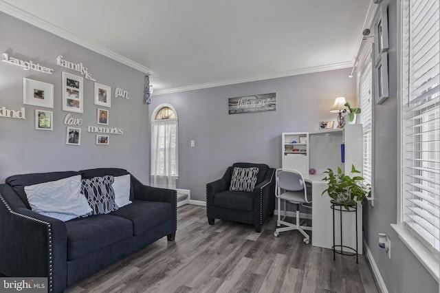 8802 Dundee Dr, Fredericksburg, VA 22408 - living room with ornamental molding, wood finished floors, plenty of natural light, and baseboards