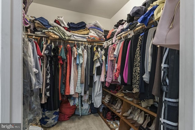8802 Dundee Dr, Fredericksburg, VA 22408 - spacious closet featuring carpet flooring