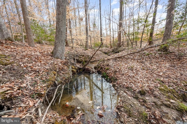 1702 Willow Brook Rd, Bumpass, VA 23024 - photo 25