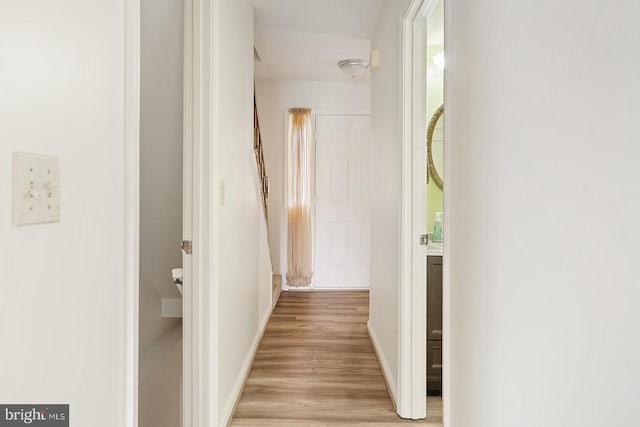 14026 Eggbornsville Rd, Culpeper, VA 22701 - hall with light wood finished floors and baseboards