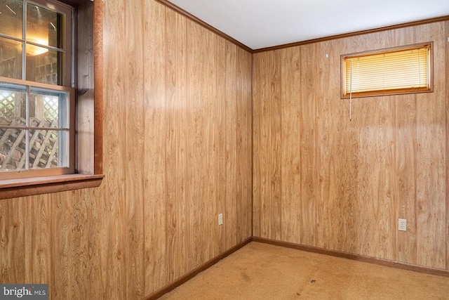14026 Eggbornsville Rd, Culpeper, VA 22701 - spare room with light carpet and wood walls