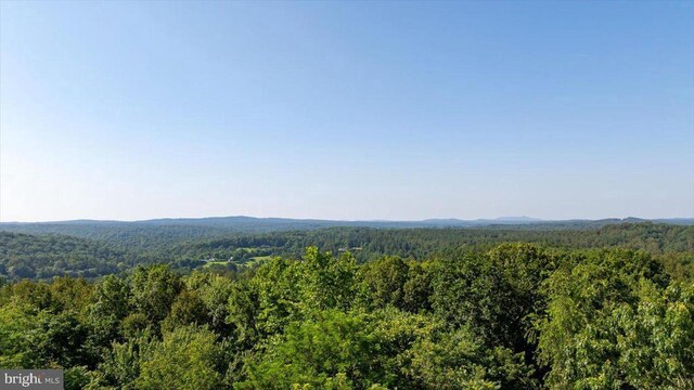436 Castleton View Rd, Castleton, VA 22716 - mountain view with a heavily wooded area