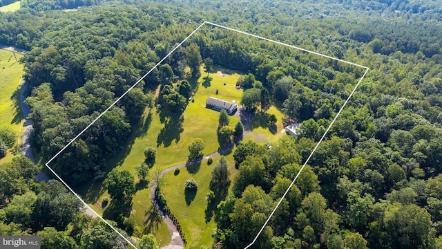 436 Castleton View Rd, Castleton, VA 22716 - view of property location featuring a heavily wooded area and property parcel outlined