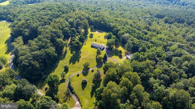 436 Castleton View Rd, Castleton, VA 22716 - aerial view of a forest
