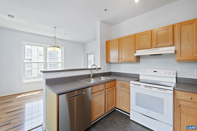 260 Riverbend Dr Unit 3C, Charlottesville, VA 22911 - kitchen featuring stainless steel dishwasher, white range with electric stovetop, under cabinet range hood, dark countertops, and a peninsula