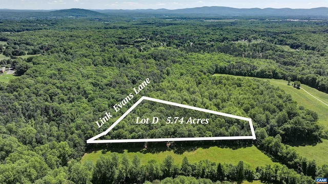 LOTD Link Evans Lane, Earlysville, VA 22936