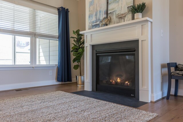 33 Silver Maple Cv, Fishersville, VA 22939 - detailed view of a fireplace with flush hearth, wood finished floors, and baseboards