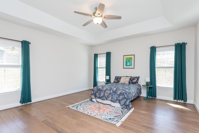 33 Silver Maple Cv, Fishersville, VA 22939 - bedroom featuring a tray ceiling, wood finished floors, and multiple windows