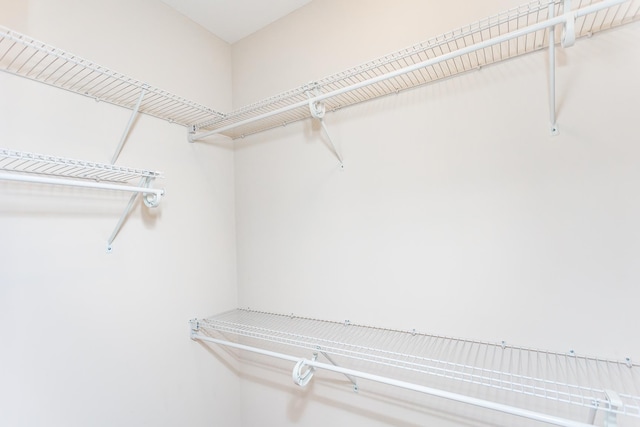 33 Silver Maple Cv, Fishersville, VA 22939 - view of walk in closet