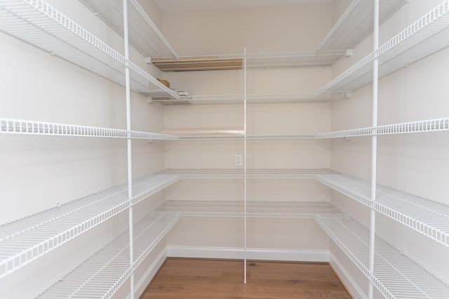 33 Silver Maple Cv, Fishersville, VA 22939 - view of pantry