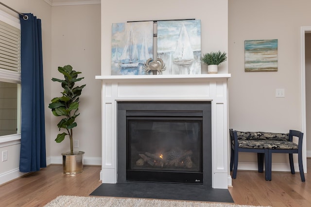 33 Silver Maple Cv, Fishersville, VA 22939 - detailed view of wood finished floors, a fireplace with flush hearth, and baseboards