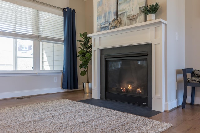 33 Silver Maple Cv, Fishersville, VA 22939 - detailed view of a fireplace with flush hearth, wood finished floors, and baseboards