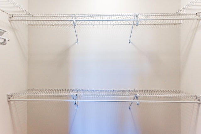 33 Silver Maple Cv, Fishersville, VA 22939 - view of walk in closet