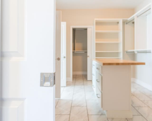 33 Silver Maple Cv, Fishersville, VA 22939 - view of spacious closet