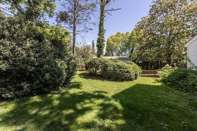 557 Wayne Ave S, Waynesboro, VA 22980 - view of green lawn