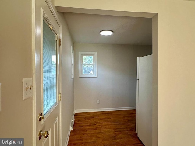 501 Lesco Blvd, Culpeper, VA 22701 - corridor with wood finished floors and baseboards