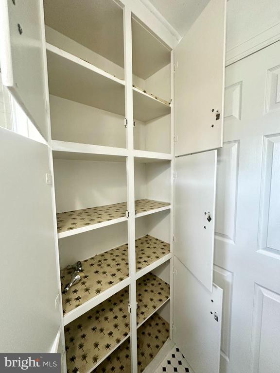 501 Lesco Blvd, Culpeper, VA 22701 - view of pantry