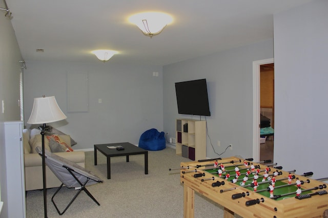 206 Pleasant Ln, Mcgaheysville, VA 22840 - game room featuring carpet