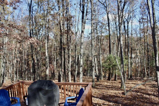 206 Pleasant Ln, Mcgaheysville, VA 22840 - wooden deck featuring area for grilling
