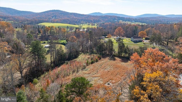 view of mountain background featuring a forest