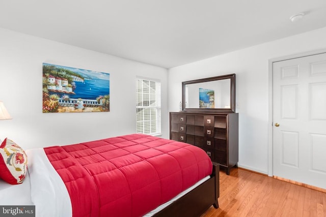 5502 Joshua Tree Cir, Fredericksburg, VA 22407 - bedroom featuring light wood-style flooring