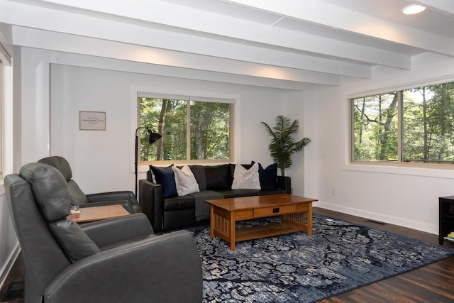 16184 Moonrise Ln, Broadway, VA 22815 - living area with plenty of natural light, wood finished floors, and beam ceiling