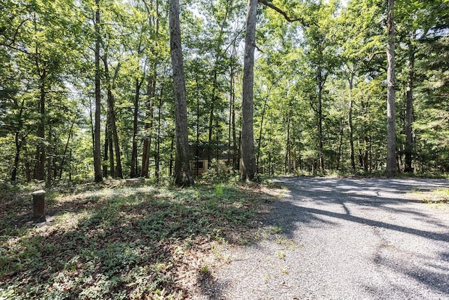 16184 Moonrise Ln, Broadway, VA 22815 - view of road with a forest view