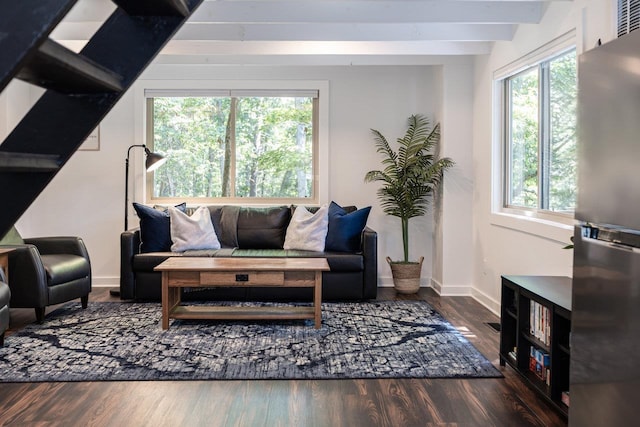 16184 Moonrise Ln, Broadway, VA 22815 - living room featuring healthy amount of natural light, wood finished floors, and beam ceiling