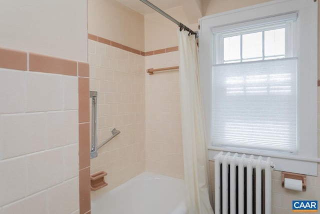 1104 Coalter St N, Staunton, VA 24401 - photo 48