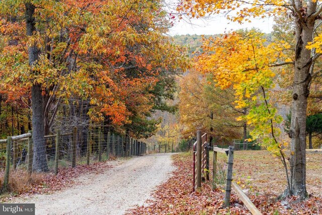 695 Whippoorwill Ln, Shipman, VA 22971 - view of road with a view of trees