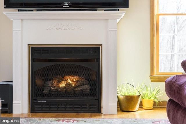 695 Whippoorwill Ln, Shipman, VA 22971 - detailed view of a lit fireplace and wood finished floors