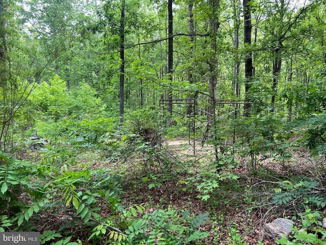 13012 Orange Plank Rd, Locust Grove, VA 22508