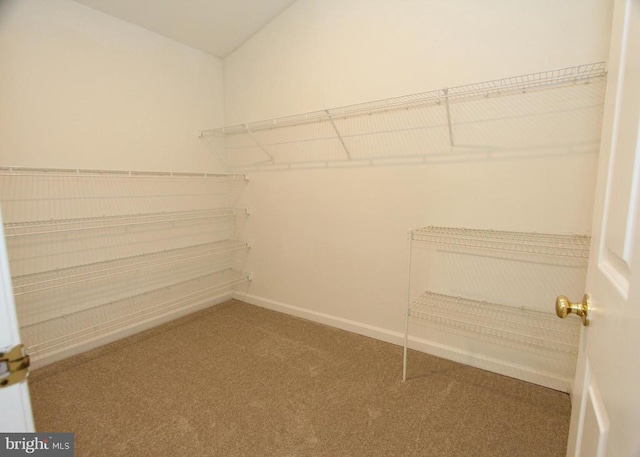 9600 Becker Ct, Fredericksburg, VA 22408 - spacious closet featuring lofted ceiling and carpet floors