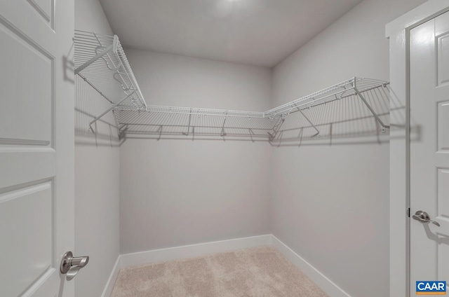 935 Addle Hill Rd, Crozet, VA 22932 - photo 26
