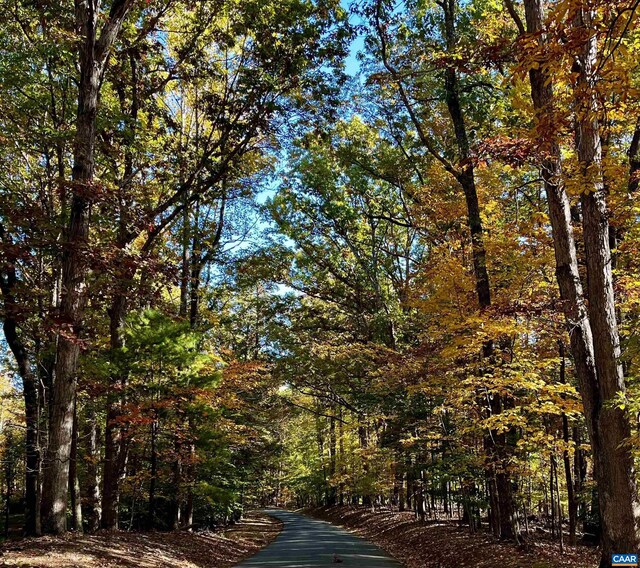 view of street with a forest view