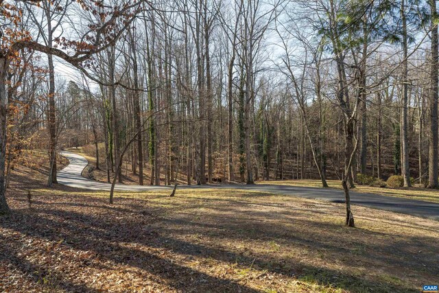 view of yard featuring a forest view