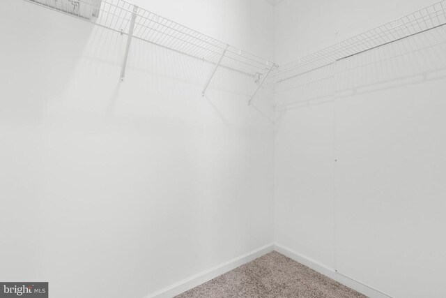 826 Mineral Ave, Mineral, VA 23117 - photo 31