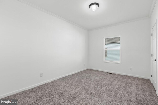 826 Mineral Ave, Mineral, VA 23117 - photo 16