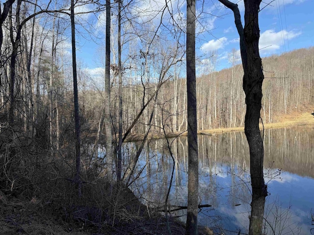 231 Opus Ln Unit 3Of 5See, Map, Amherst, VA 24521 - photo 2
