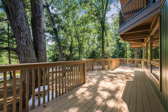 1866 Hawksbill Rd, Mcgaheysville, VA 22840 - photo 6