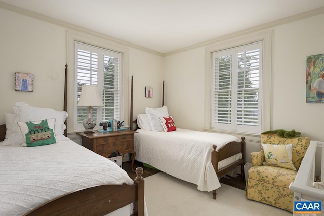 3809 Peakland Pl, Lynchburg, VA 24503 - bedroom with multiple windows and ornamental molding
