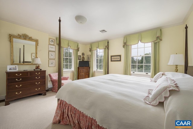 3809 Peakland Pl, Lynchburg, VA 24503 - view of carpeted bedroom