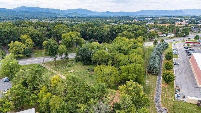 1229 Rosser Ave, Waynesboro, VA 22980