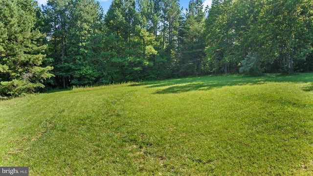 855 Johnson Rd, Mineral, VA 23117 - photo 39